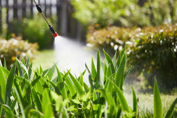 24/7 Emergency Cockroach Control experts in Morris Plains, NJ