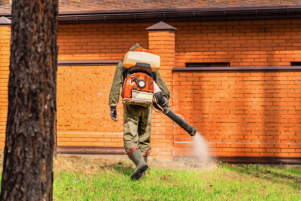 Trusted Termite Control service in Morris Plains, NJ - Nex Pest Control